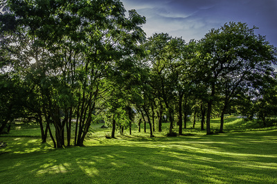 Valentine Ranch Property Owners Association, Inc.